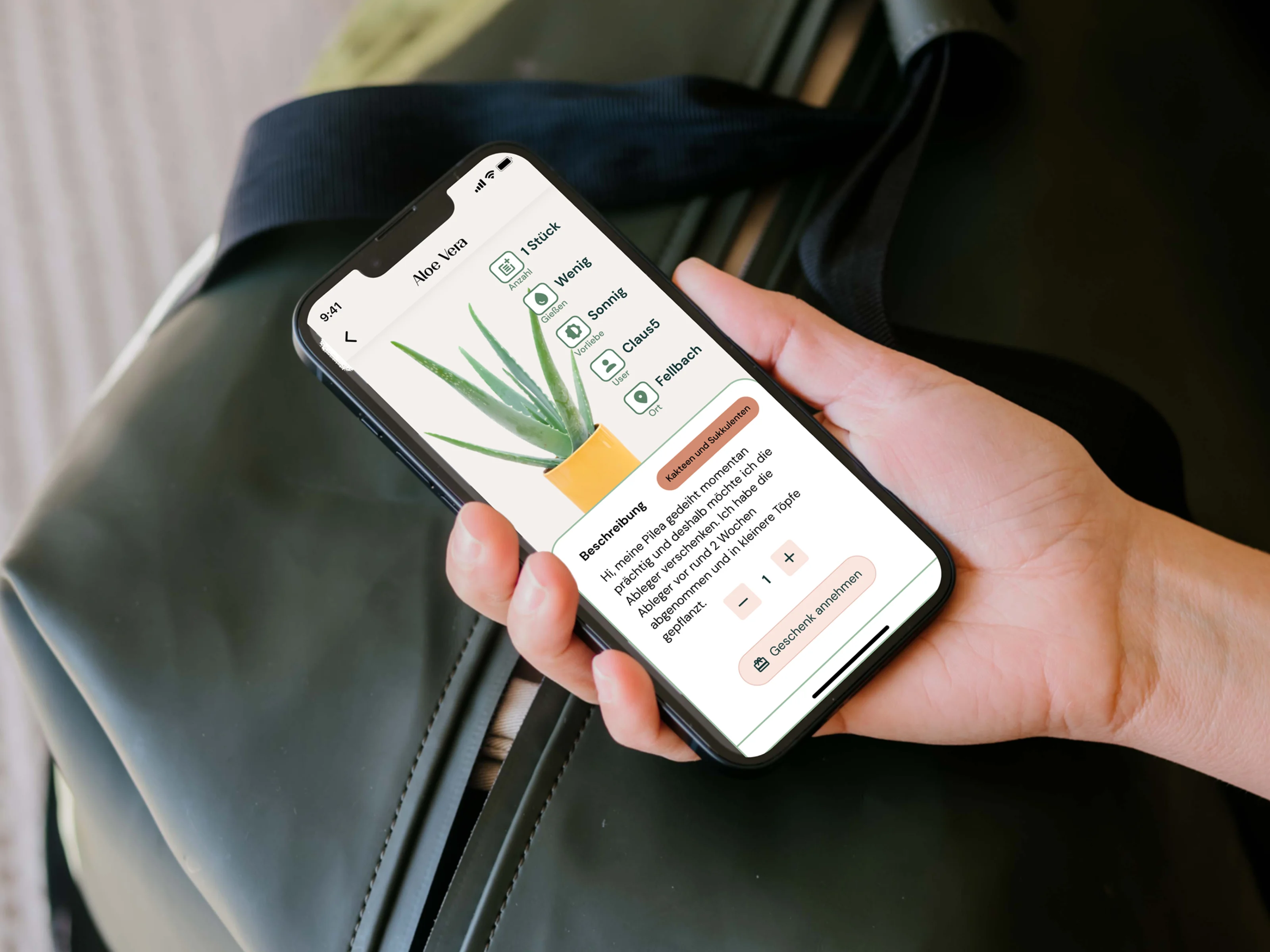 Pflanzen Kischde app showing a plant offer listing